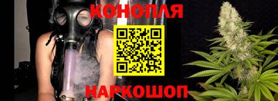 прущие грибы Пенза