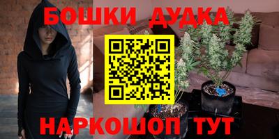 прущие грибы Пенза