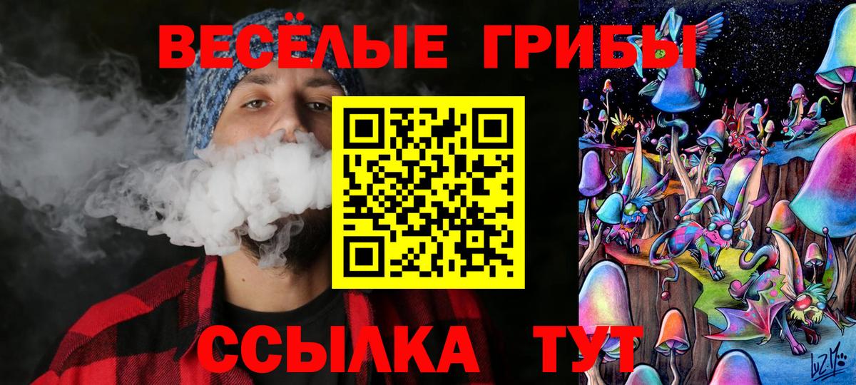 Псилоцибиновые грибы мухоморы Сочи